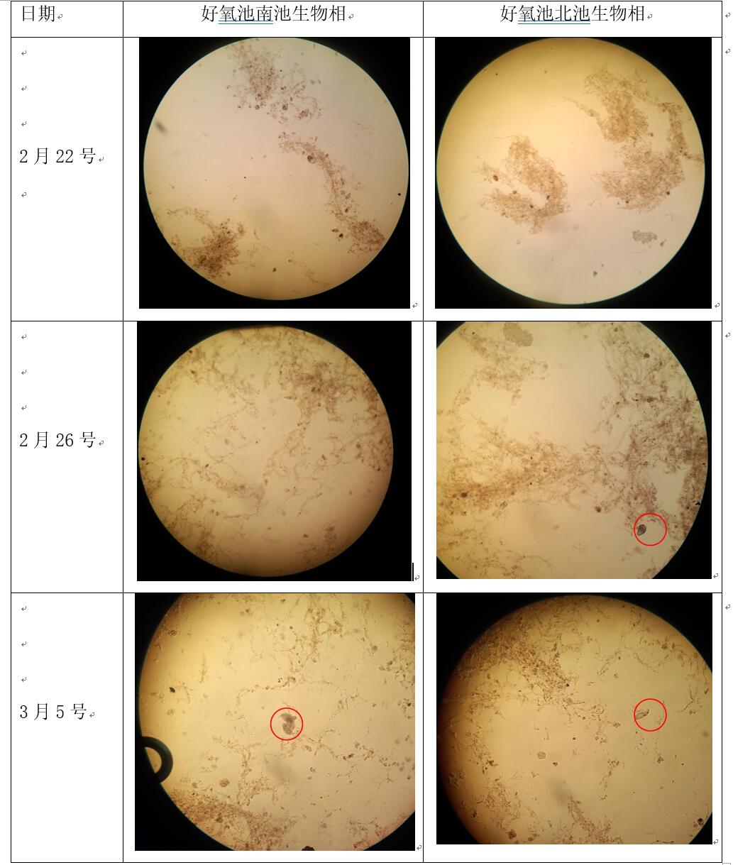 1535350036147029.jpg 3.jpg