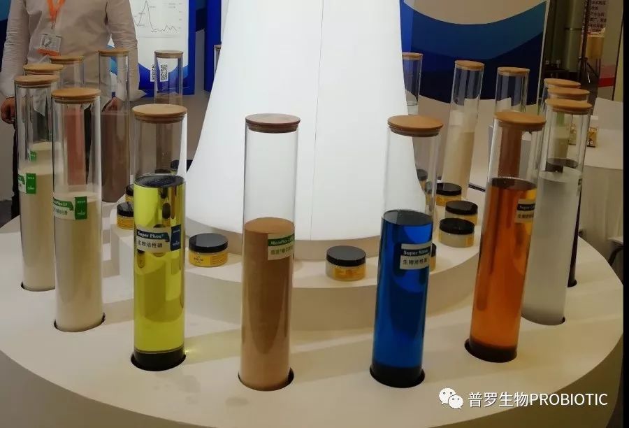 1555896033519054.jpg 1555896033519054.jpg