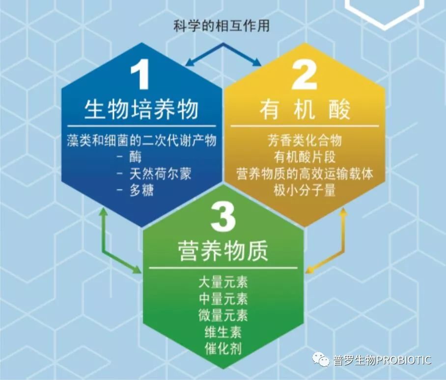 1555896177278262.jpg 1555896177278262.jpg