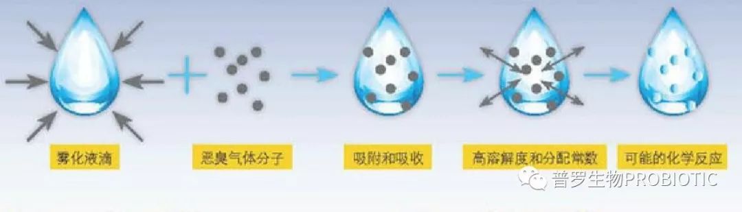 1555896210614318.jpg 1555896210614318.jpg