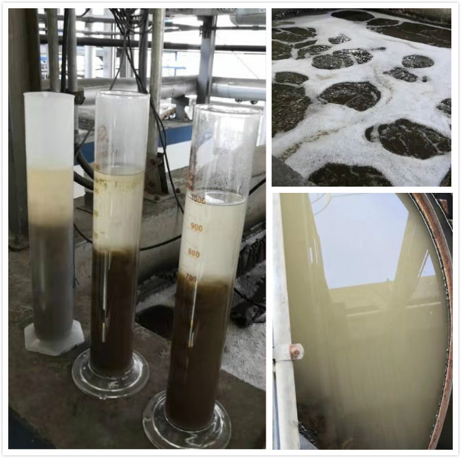 1571893860494916.jpg 2.jpg