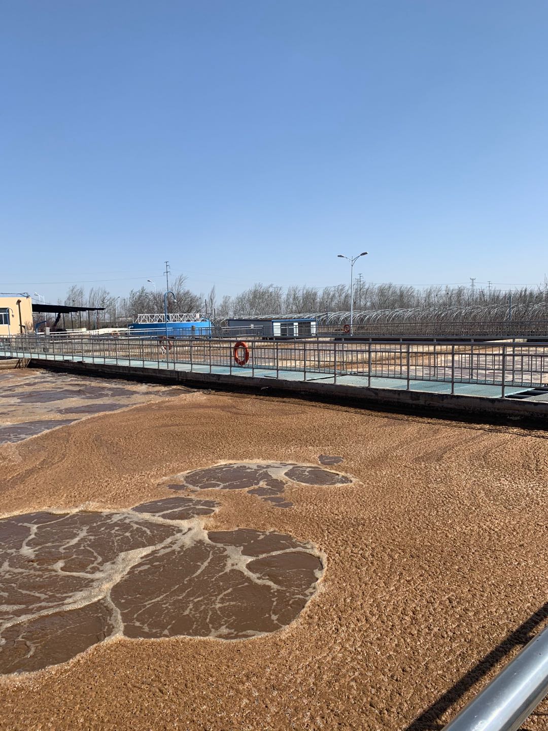 1585115445631943.jpg 1585115445631943.jpg