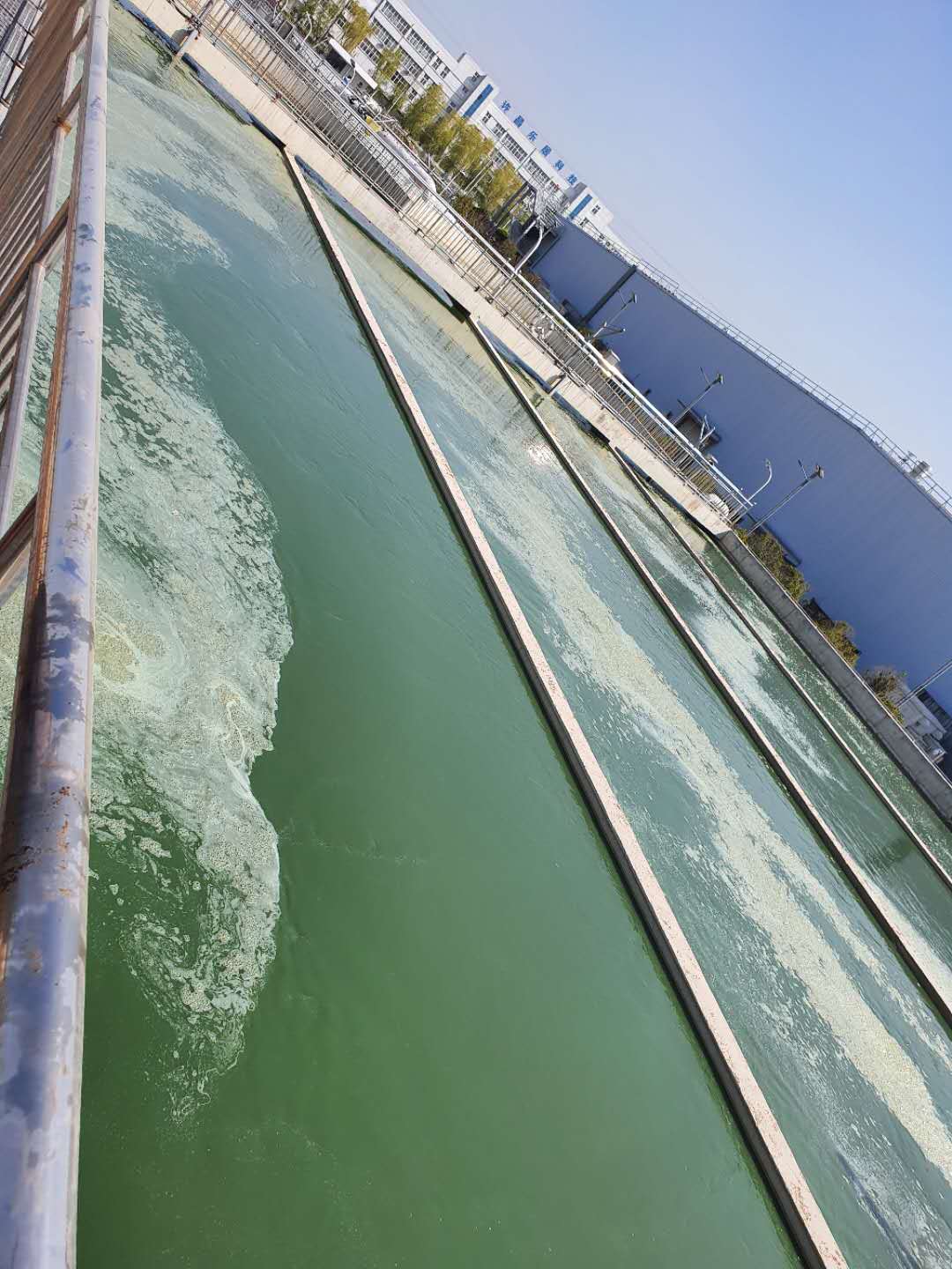 1585115692845504.jpg 1585115692845504.jpg