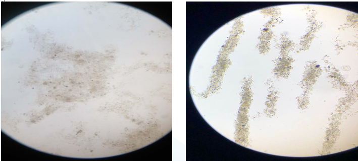 1588147986421927.png 1588147986421927.png