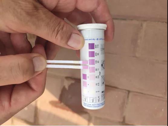 硝酸根試紙.jpg 硝酸根試紙.jpg