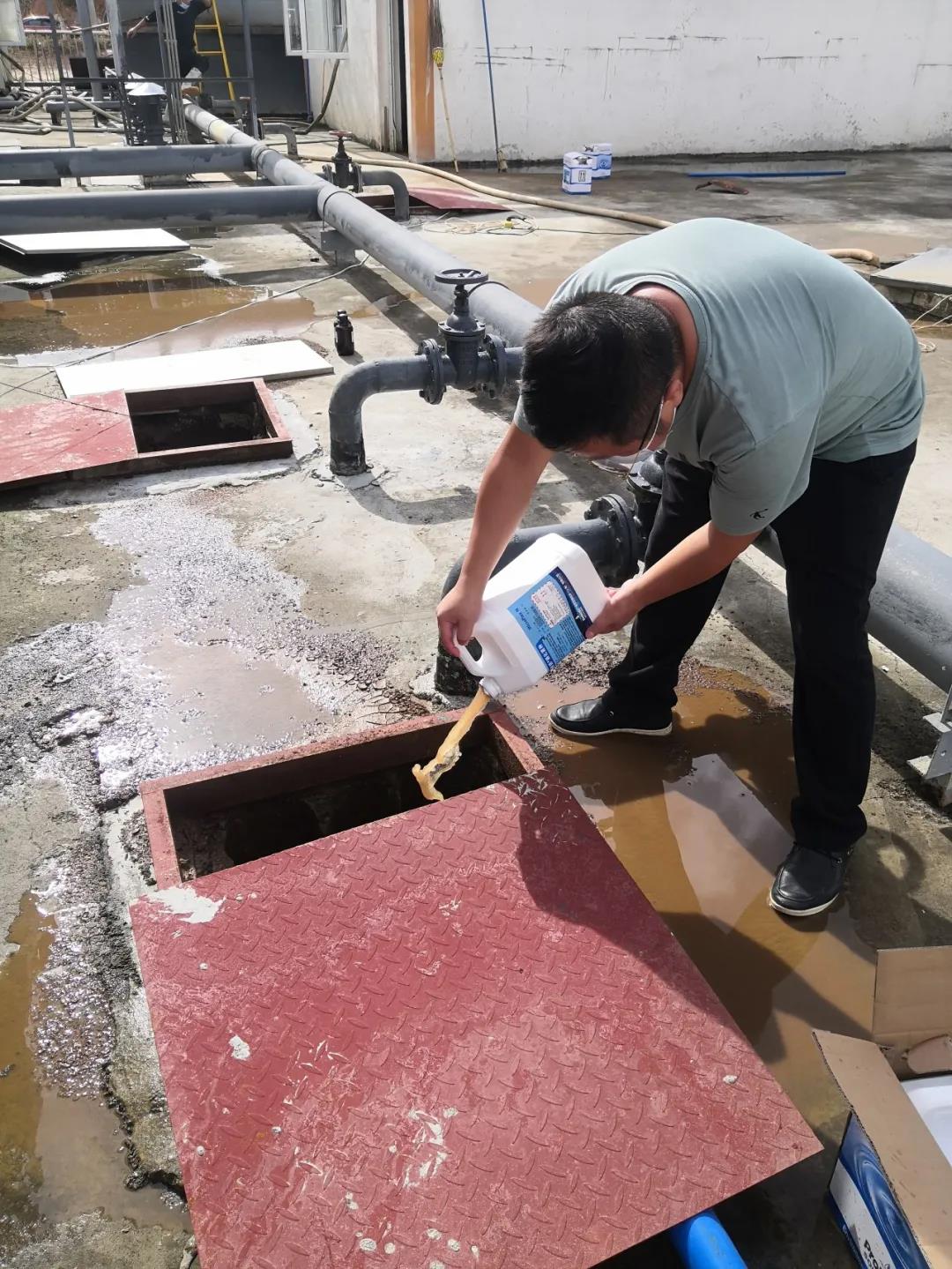 硝化菌種.jpg 硝化菌種.jpg