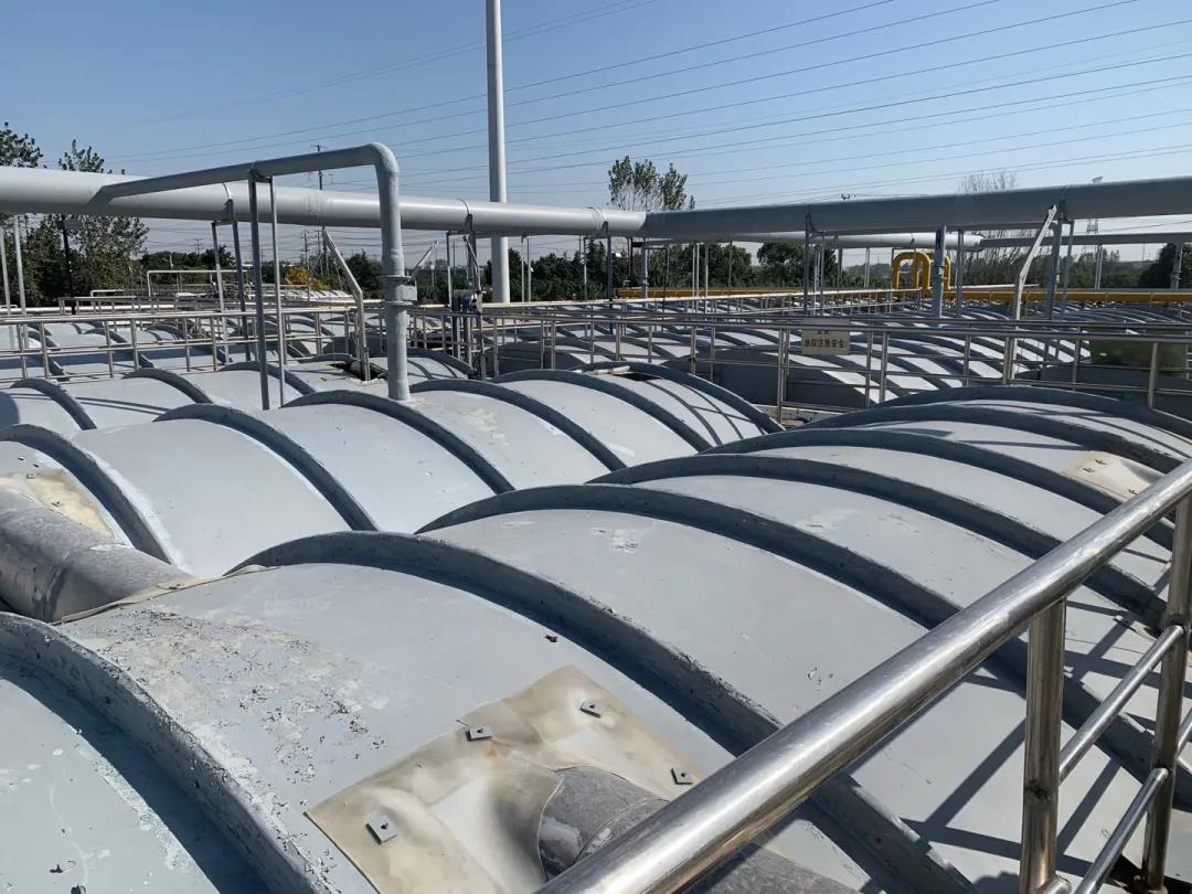 1604653691498329.jpg 1604653691498329.jpg