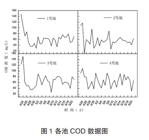 1604656499444919.jpg 1604656499444919.jpg