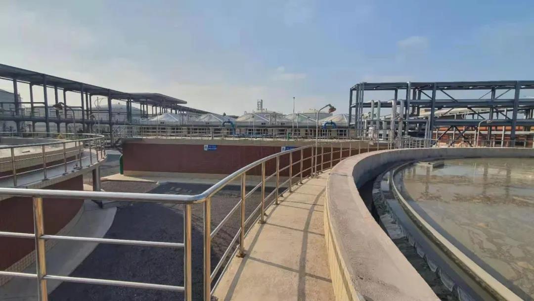 氨氮達標.jpg 氨氮達標.jpg