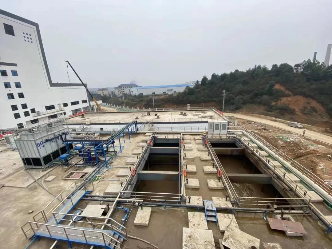 硝化菌.jpg 硝化菌.jpg