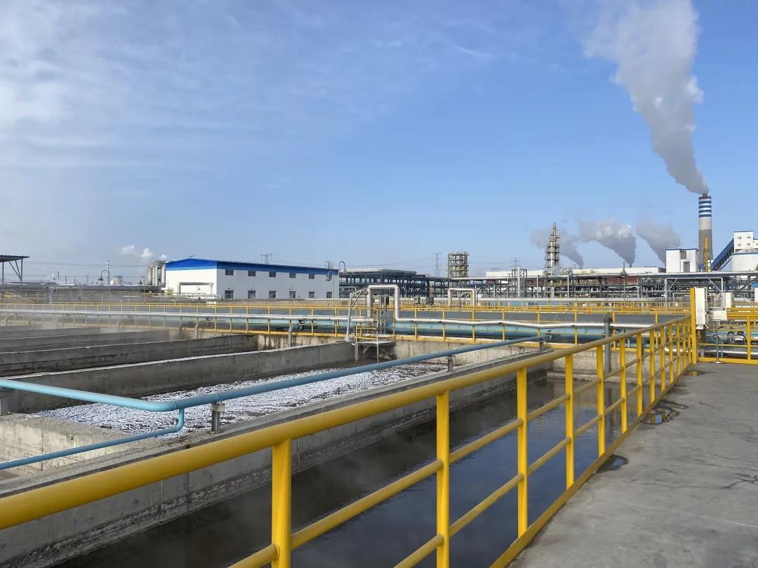 1612321519574918.jpg 1612321519574918.jpg