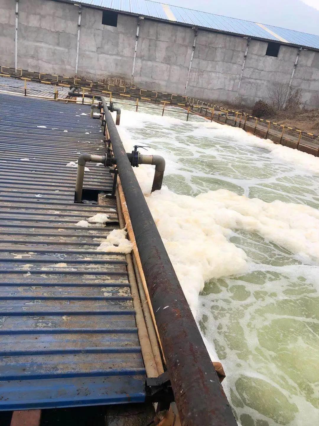 1612321831462307.jpg 1612321831462307.jpg