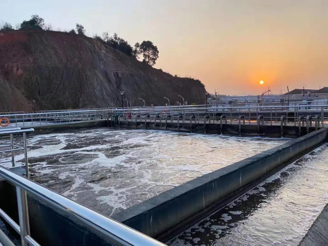 氨氮超標(biāo) 氨氮超標(biāo)