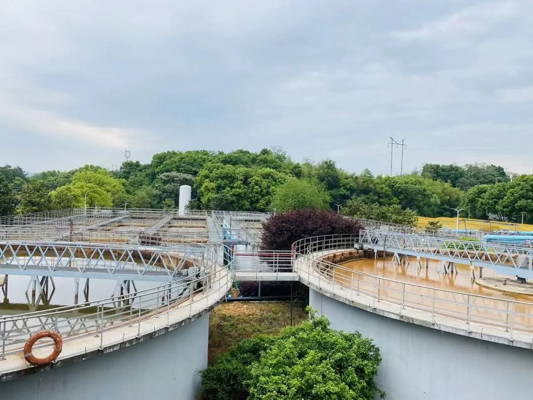 1680838918190746.jpg 1.jpg