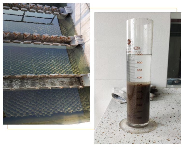 1680839057371319.png 88.png