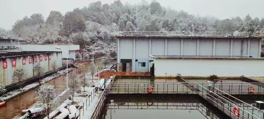 1680839086310005.jpg 3.jpg