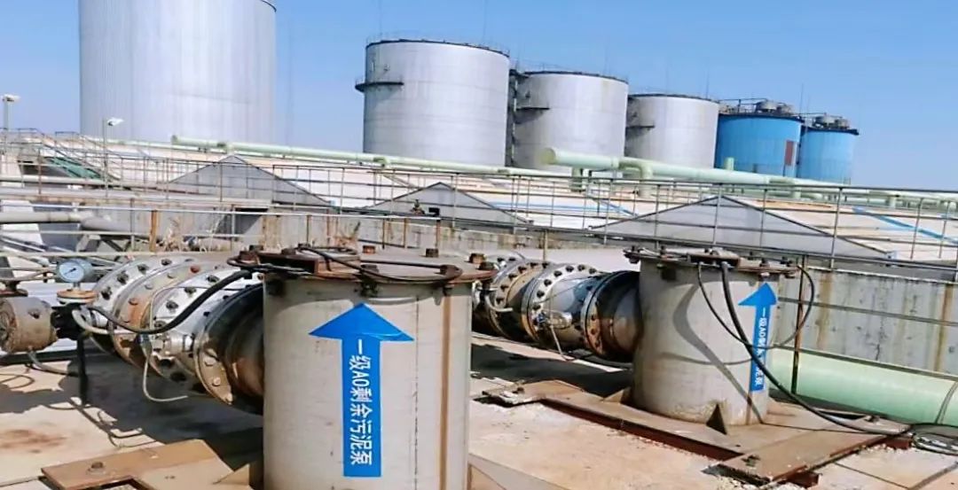 1680839117432740.jpg 4.jpg